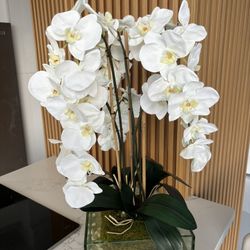 Beautiful Accent Orchid Arrangement