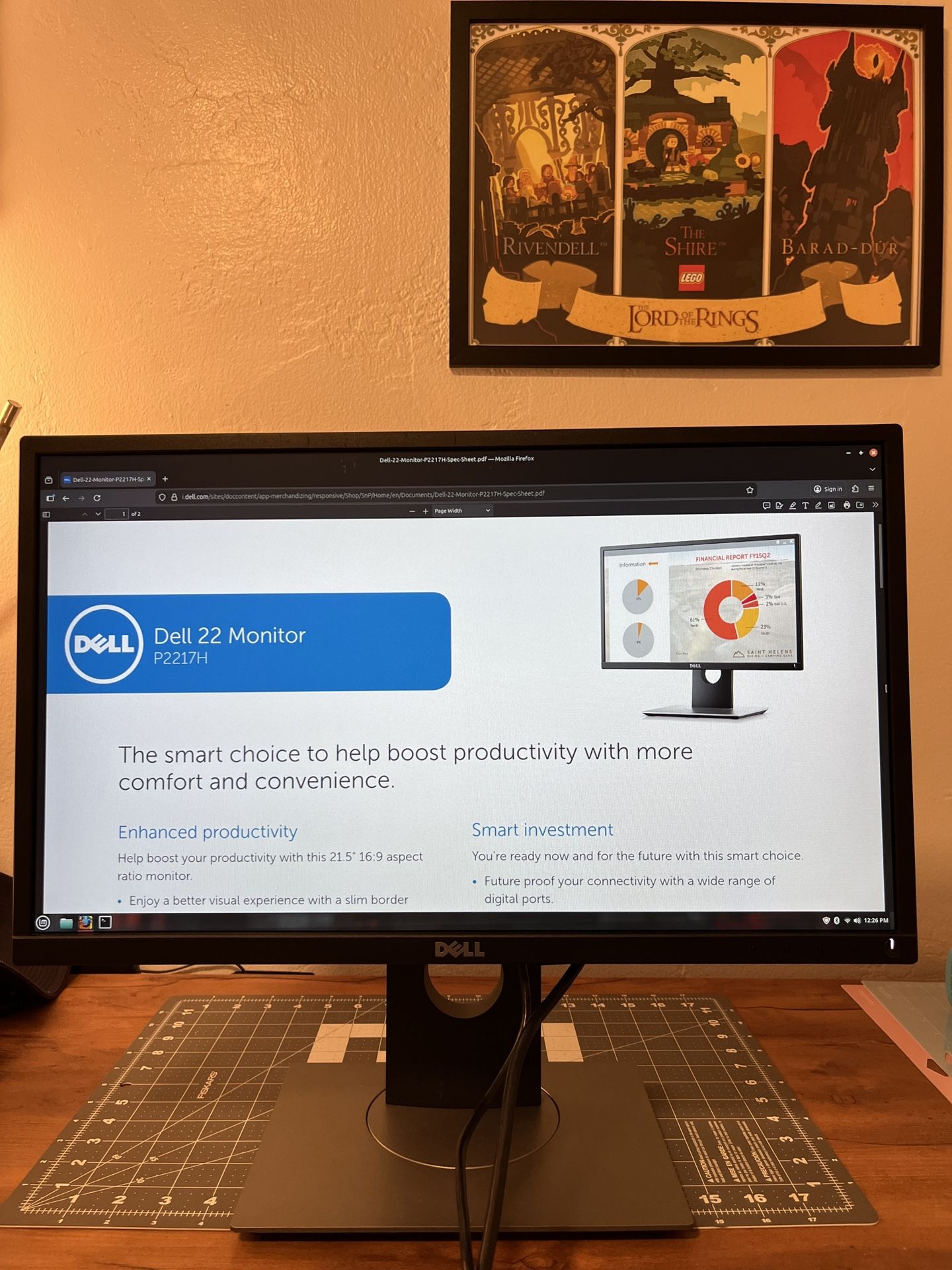 Dell 22 Inch Monitor 