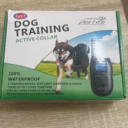 Dog Training Active Collar for Sale in Canyon Country CA OfferUp