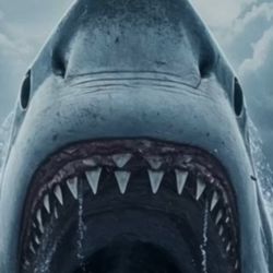 I.O.S. 26.3.1… Apple iPhone 11…AT&T