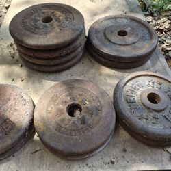 90lbs Standard Plates