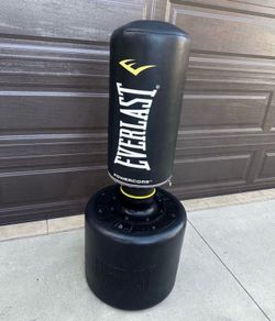 Everlast Powercore Exercise Post like new