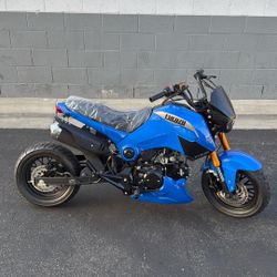 Ice Bear Fuerza Motorcycle 125cc