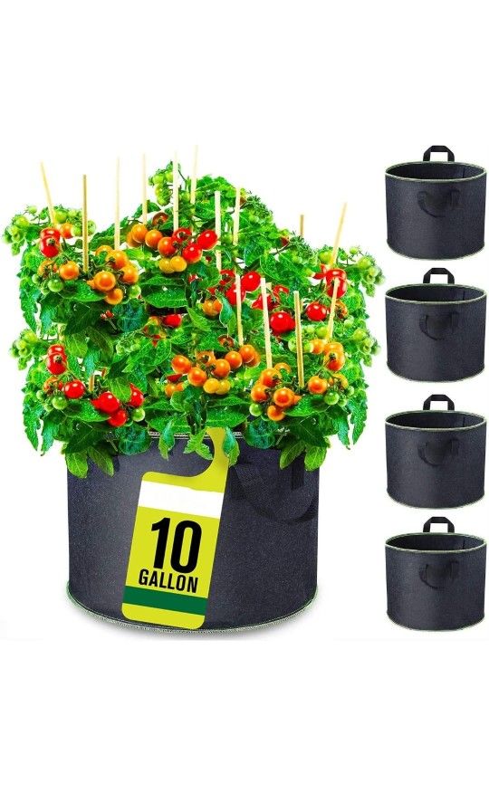 10 Gallon Garden Grow Bag