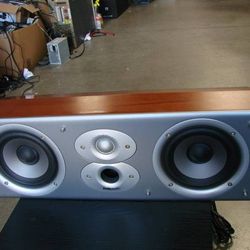 Polk Audio CSi3 2-Way High Performance Center Speaker

