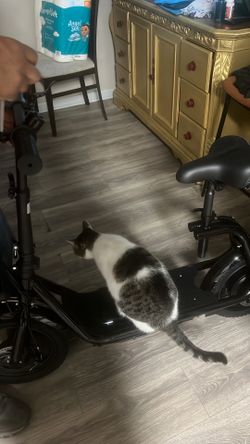 EBIKE/SCOOTER