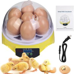 7-Egg Mini Egg Incubator with 360° View, Educational Hatching Kit for Kids, Classrooms & Families, Automatic Temperature Control & Manual Humidity Con