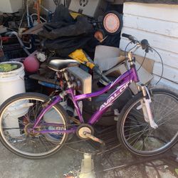 Avalon purple best sale bike