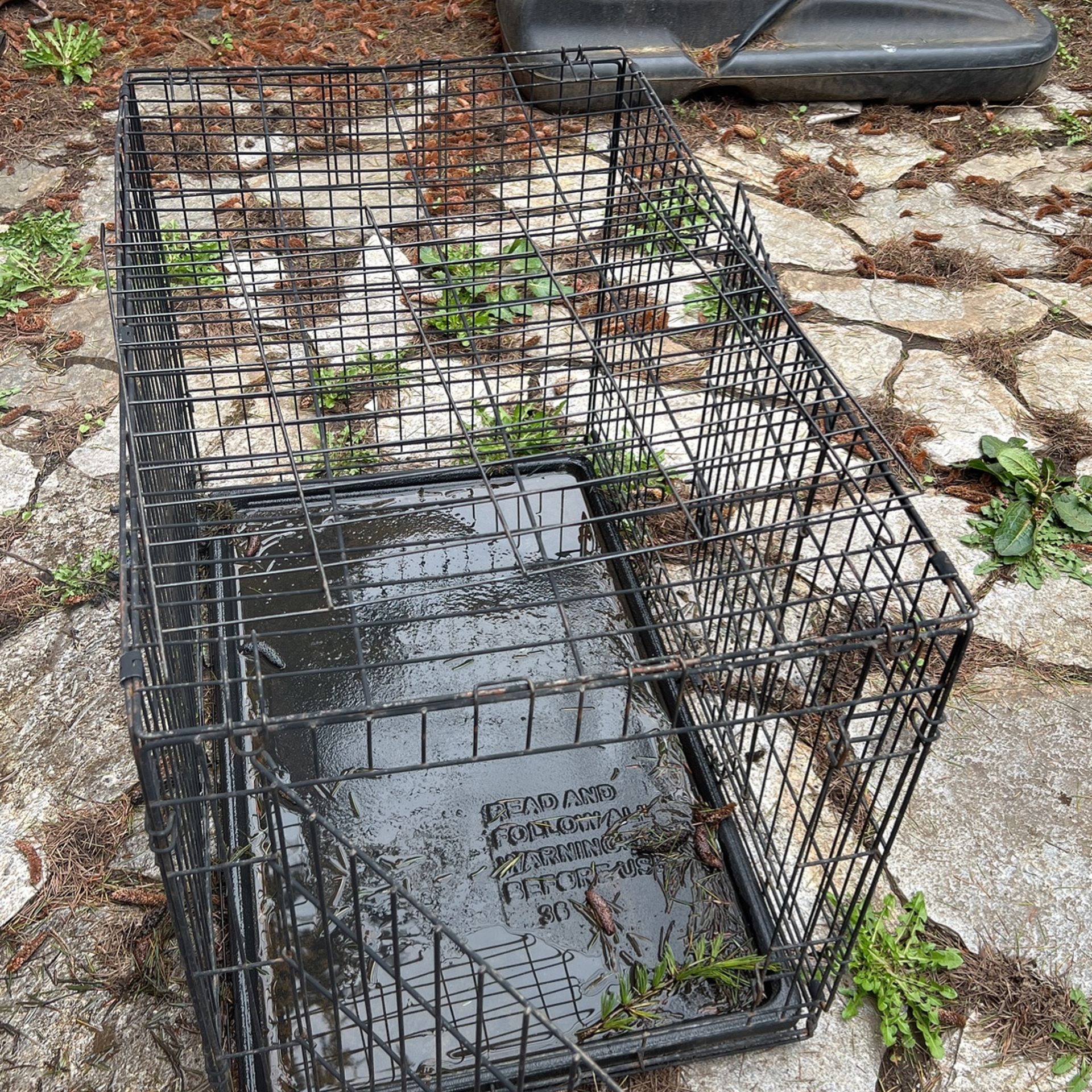 Dog Cage