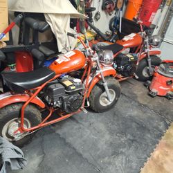 200 ex-u coleman mini bike