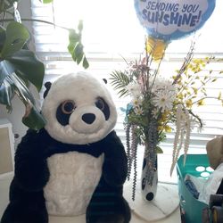 Valentine’s Day  Bear💝 💘 