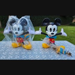 Disneyland Collector's Cup