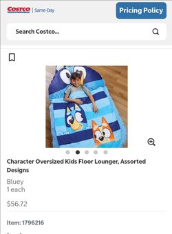 Bluey Lounger