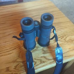 Binoculars (Redfield 10x42)