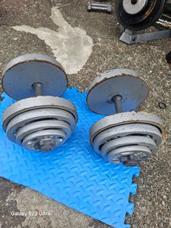 Dumbells Weights 2x65