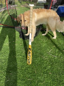 Baseball Bat - 30”