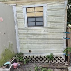 Shed