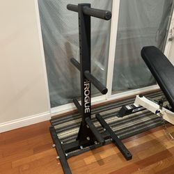 Rogue weight rack