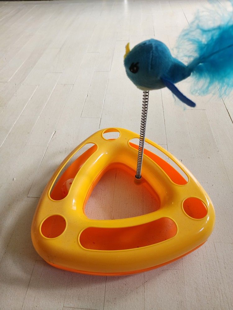 Cat Toy