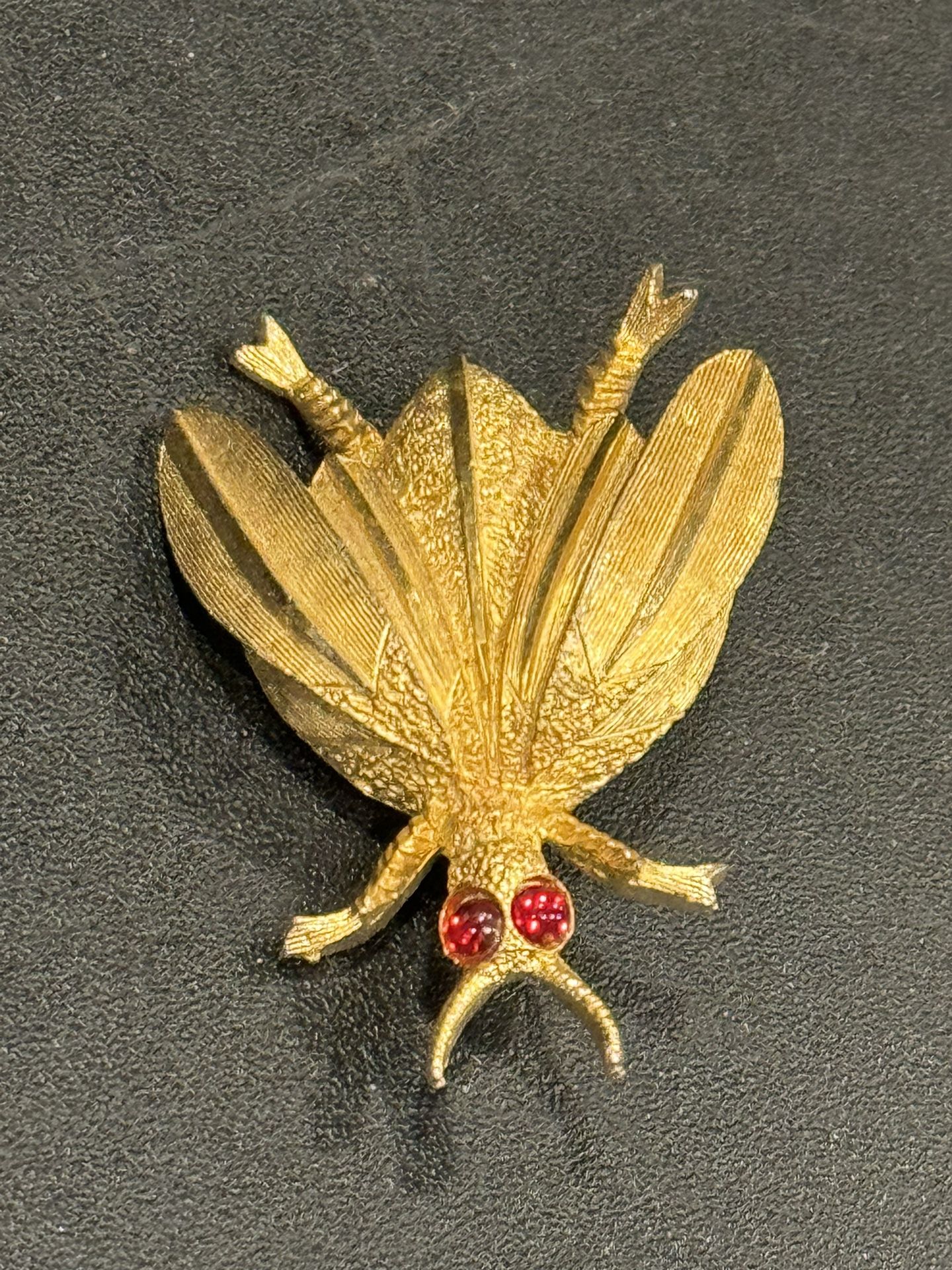 Trembler/Cicada insect Brooch