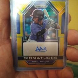 Adael Amador Rookie