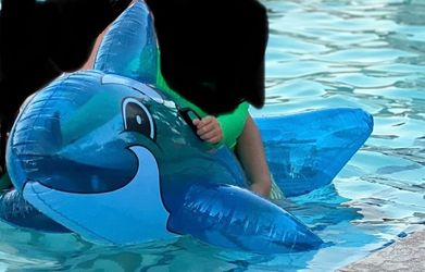 Intex inflatable dolphin ride along pool floatie toy