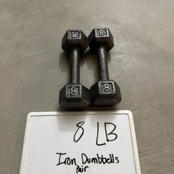 8 LB Iron Dumbbells