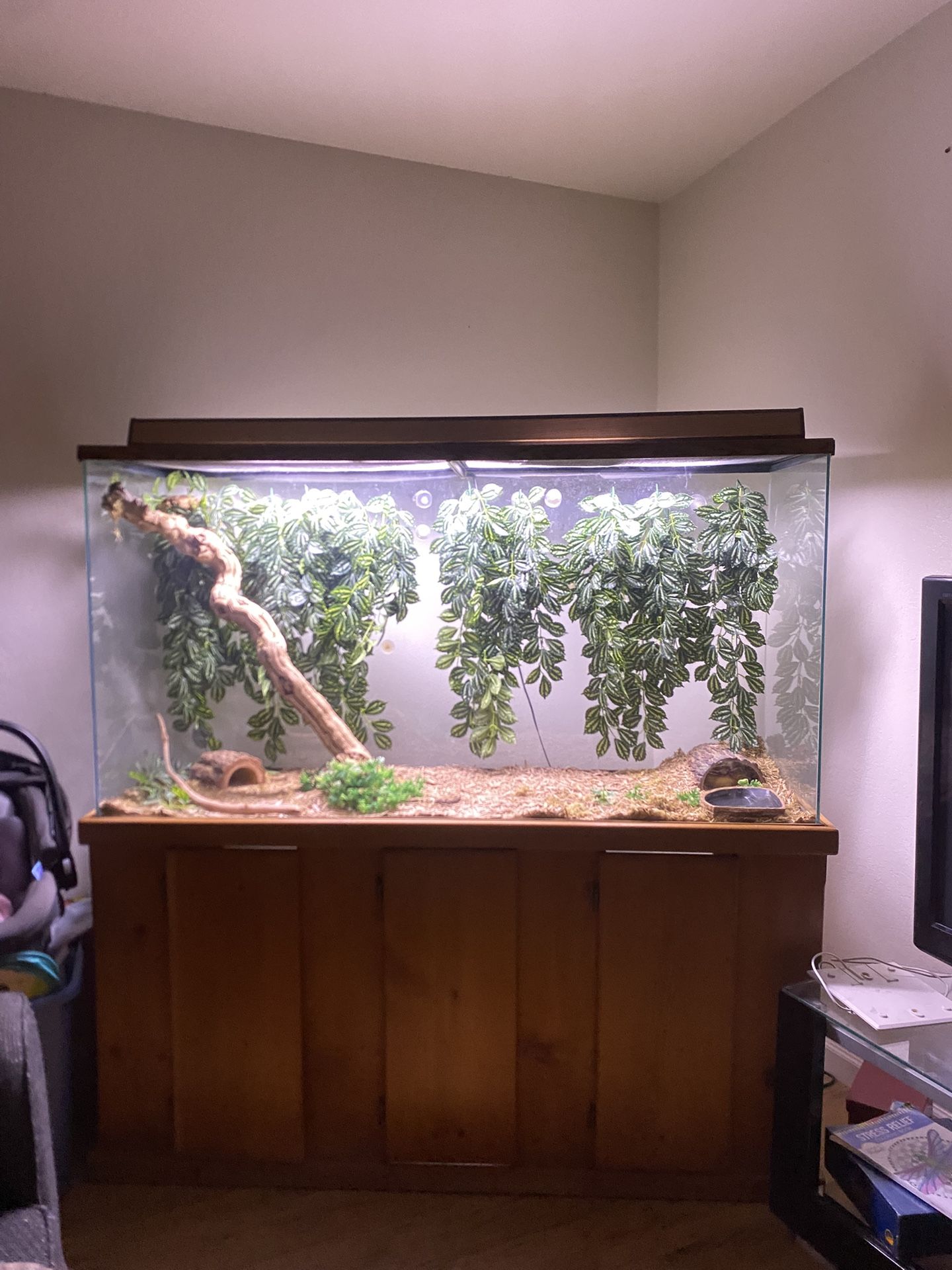 Tank And Wood Stand