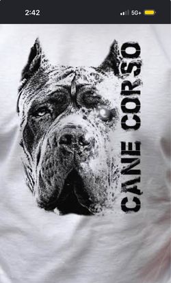 Cane corso tshirt