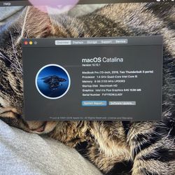 2019 Macbook Pro 13”