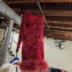 Red Sequin Dress 