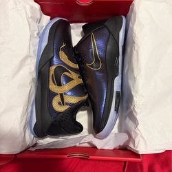 Brand new Kobe 5 V year of mamba