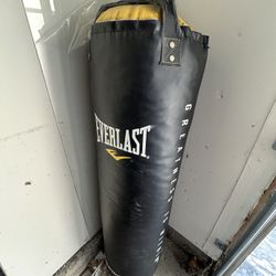 Everlast Punching Bag 