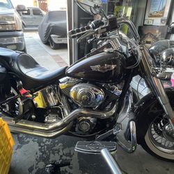 2004 Harley Davidson Soft Tail 