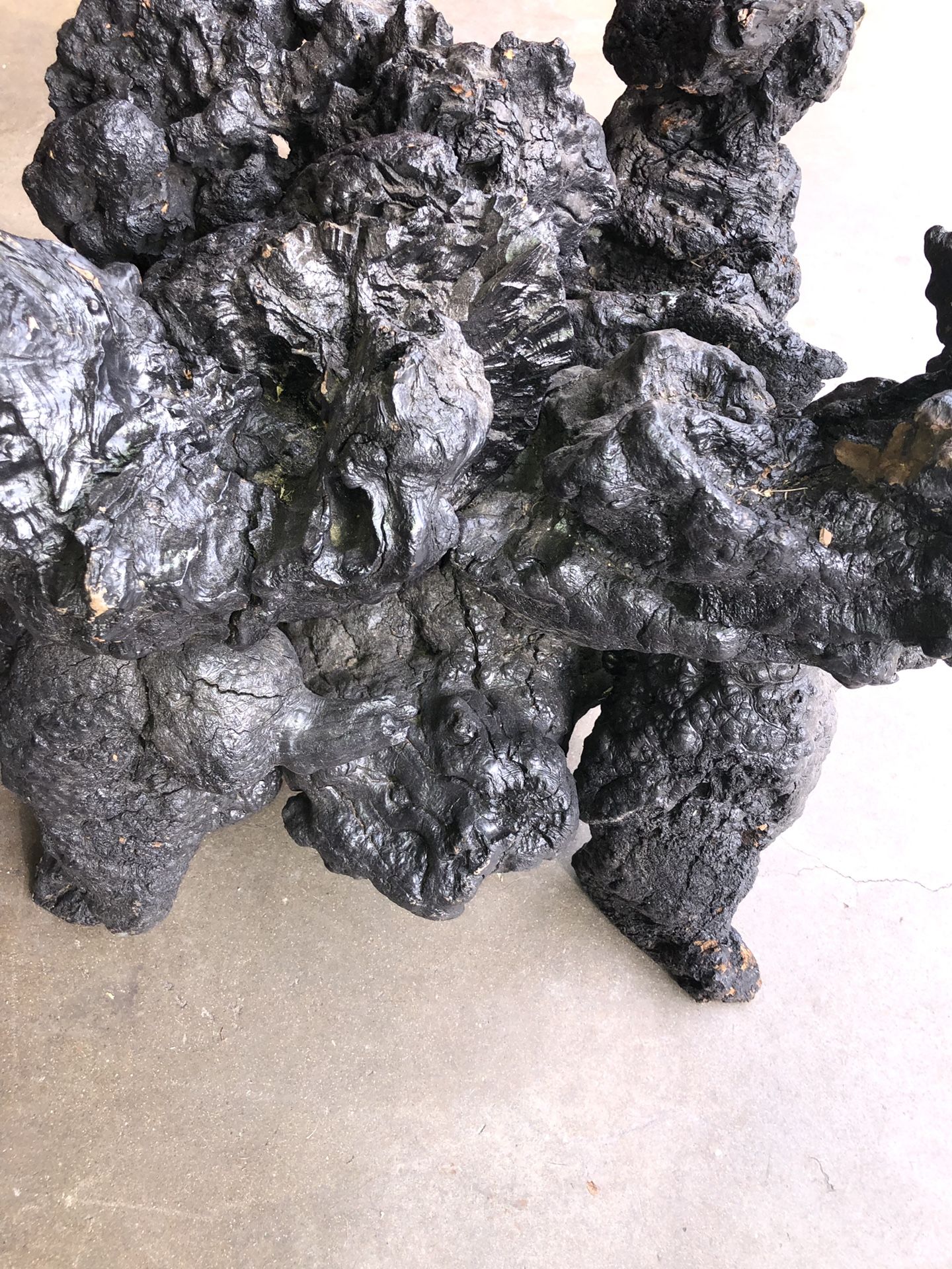 glass top WOOD ROOT TREE ROOT BURNT BLACK TABLE This is a pretty ridiculously amazing wood root tree root burnt black coffee table/end table If yo