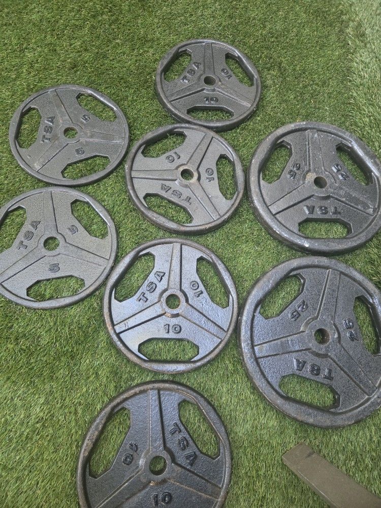 TSA & Gold's Iron Grip Weight Plates +!