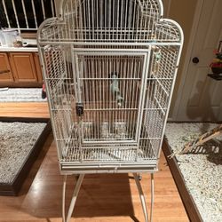 Bird Cage