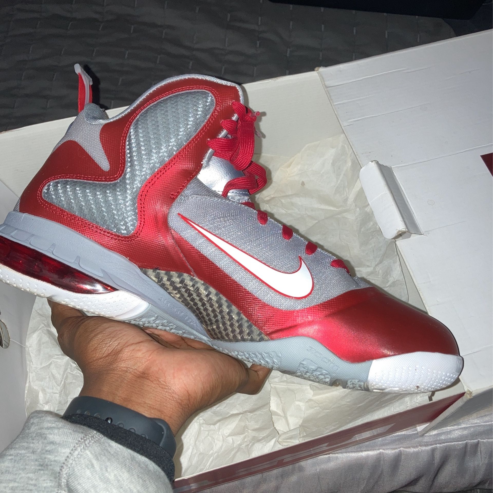 LeBron 9 Ohio State