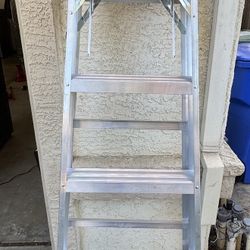 6ft Ladder