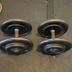 35 Lb Dumbbells 