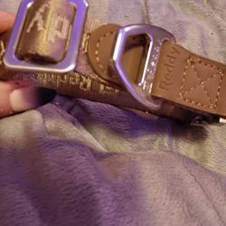 Large Reddy Dog Collar