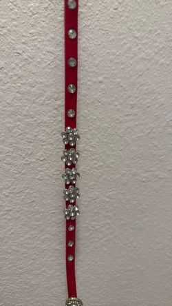 Red and silver with clear rhinestone throughout with a a 5 flower rhinestone back to back on the side of this classy belt