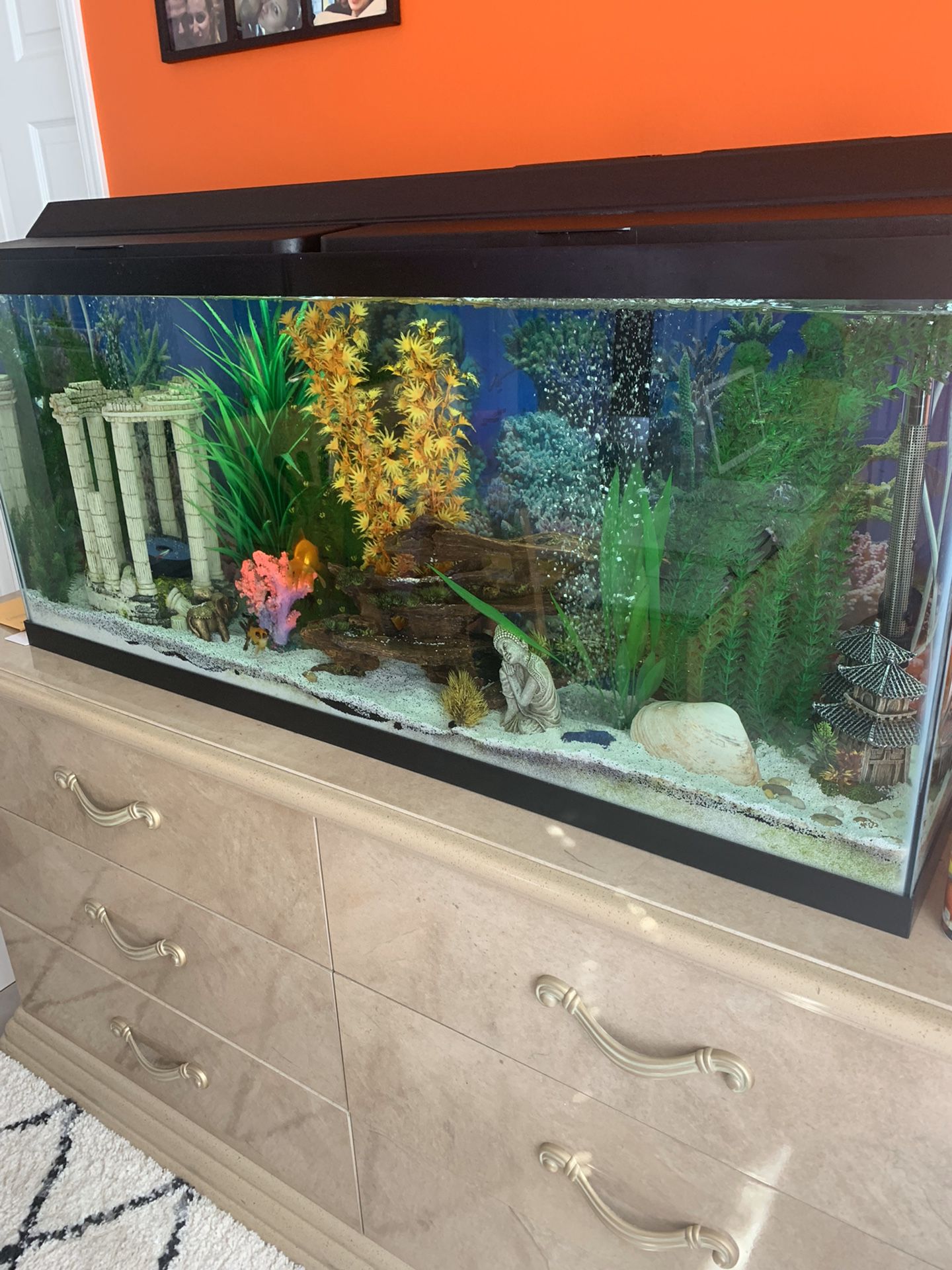 Fish tank with all decorations