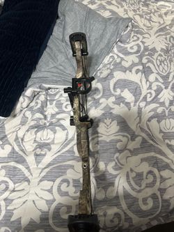 Hoyt compound bow