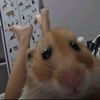 Yusbi Felix 