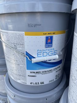 Paint flat extra white new interior
