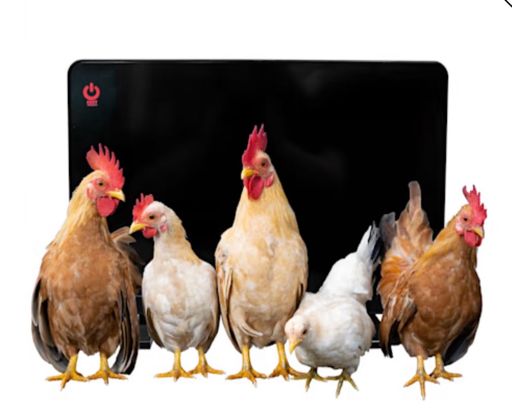 2 Chickcozy Chicken Coop Heater – $50 each