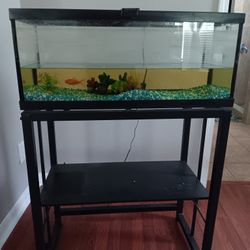 20 GALLON Fish Tank And Stand 