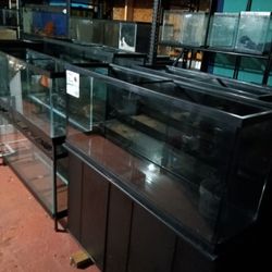 Fish Tank 75 G 125 G