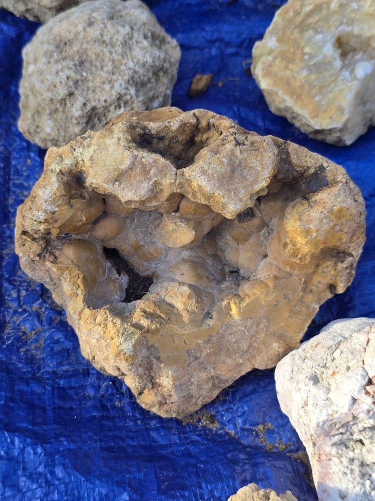 Organic Aquarium Rock k Brooks Bedrock Aquarium Decor